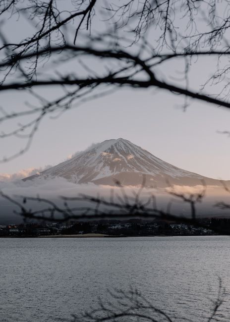 Elegant view of Mount Fuji framed by tree branches at dusk, capturing serene beauty.