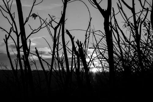 Free stock photo of blackandwhite, cloudy sky, landscape