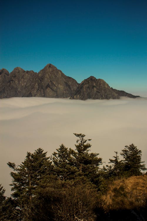 Fog in Mountains