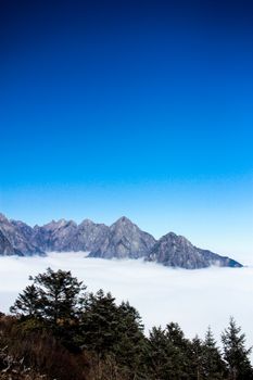 Stunning view of rugged mountain peaks rising above a sea of clouds and lush forest.