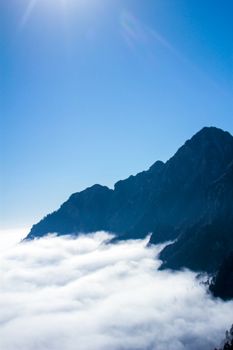 Breathtaking view of mountains enveloped in fog, captured in crisp daylight.