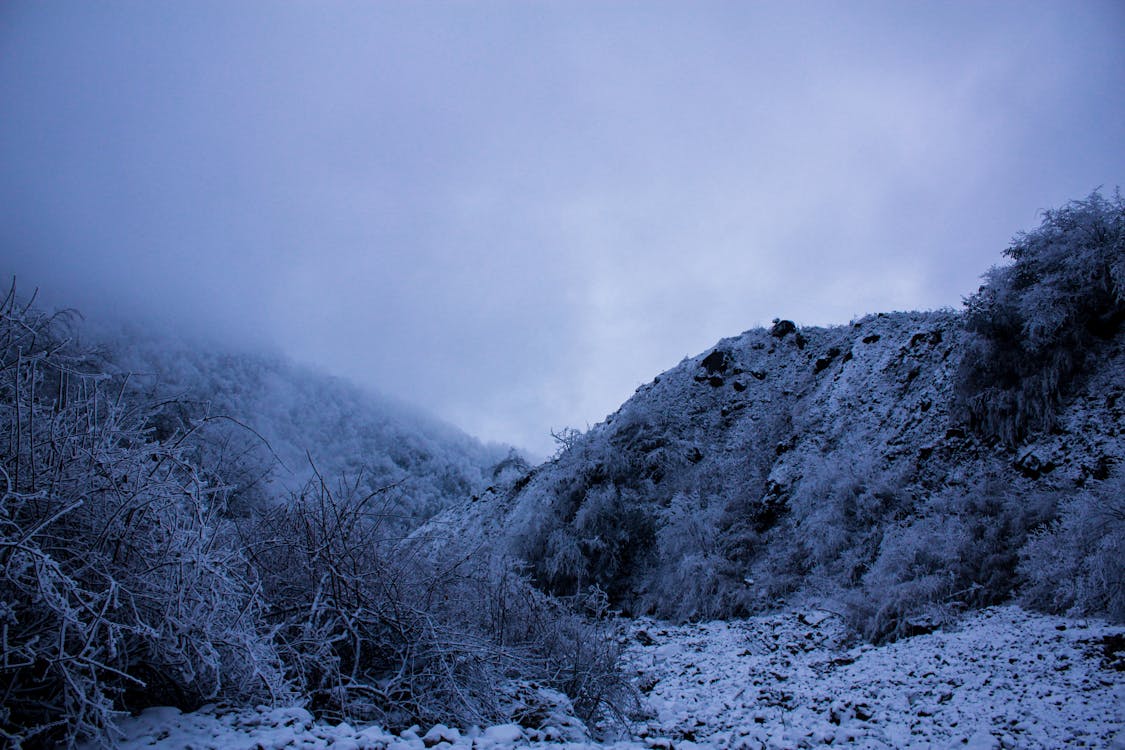 冬, 山岳, 旅行先の無料の写真素材
