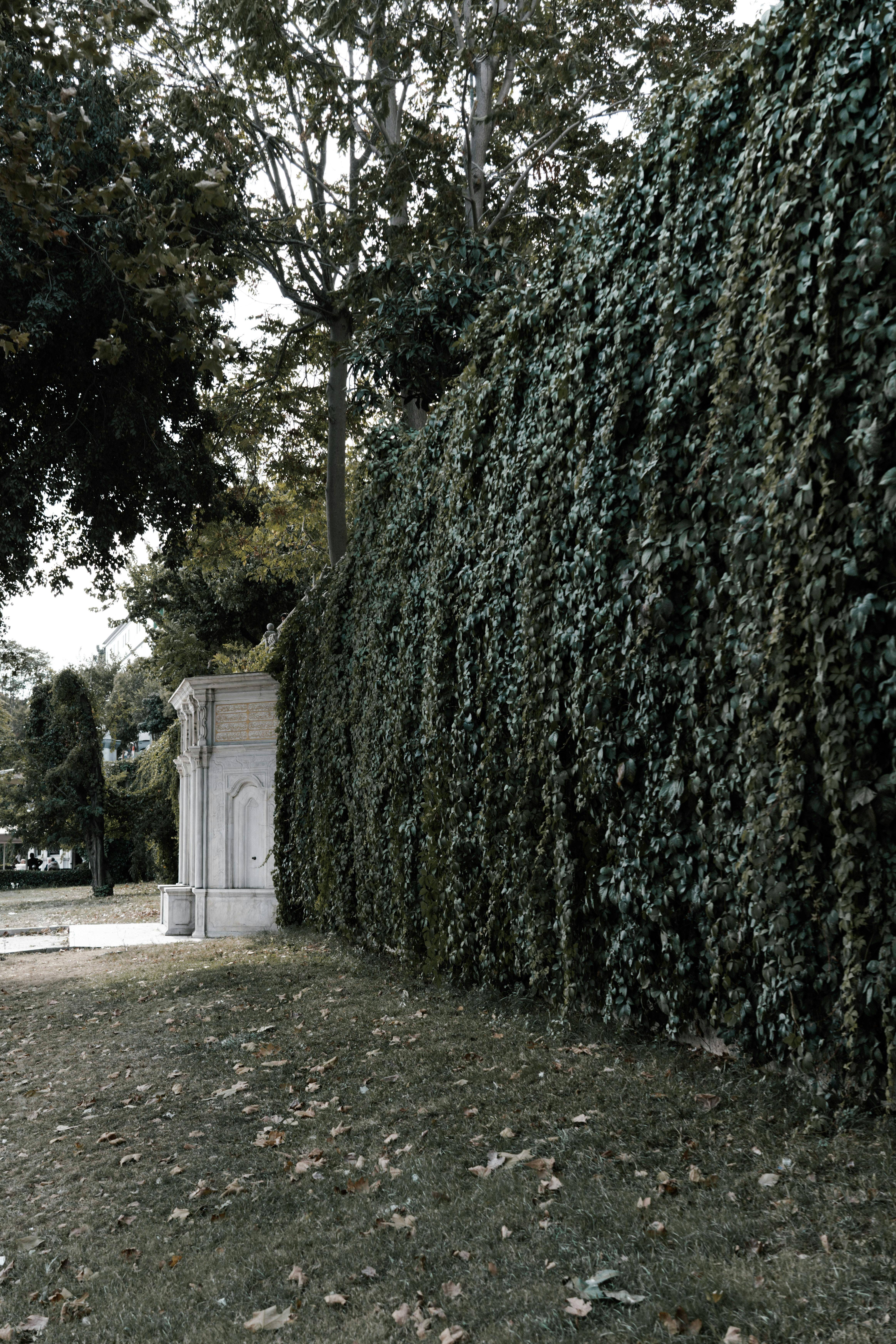 Gratuit Imagine de stoc gratuită din aan lichtbak toevoegen, amenajare a teritoriului, amenajare verticală Fotografie de stoc