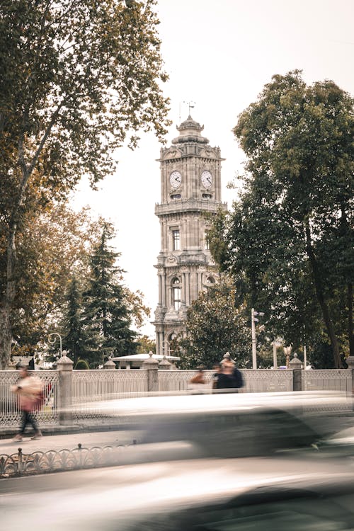 Clock Tower and Trees