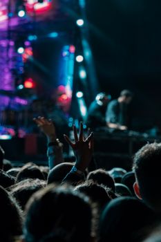 A thrilling live concert experience with a lively crowd and dynamic lighting show.