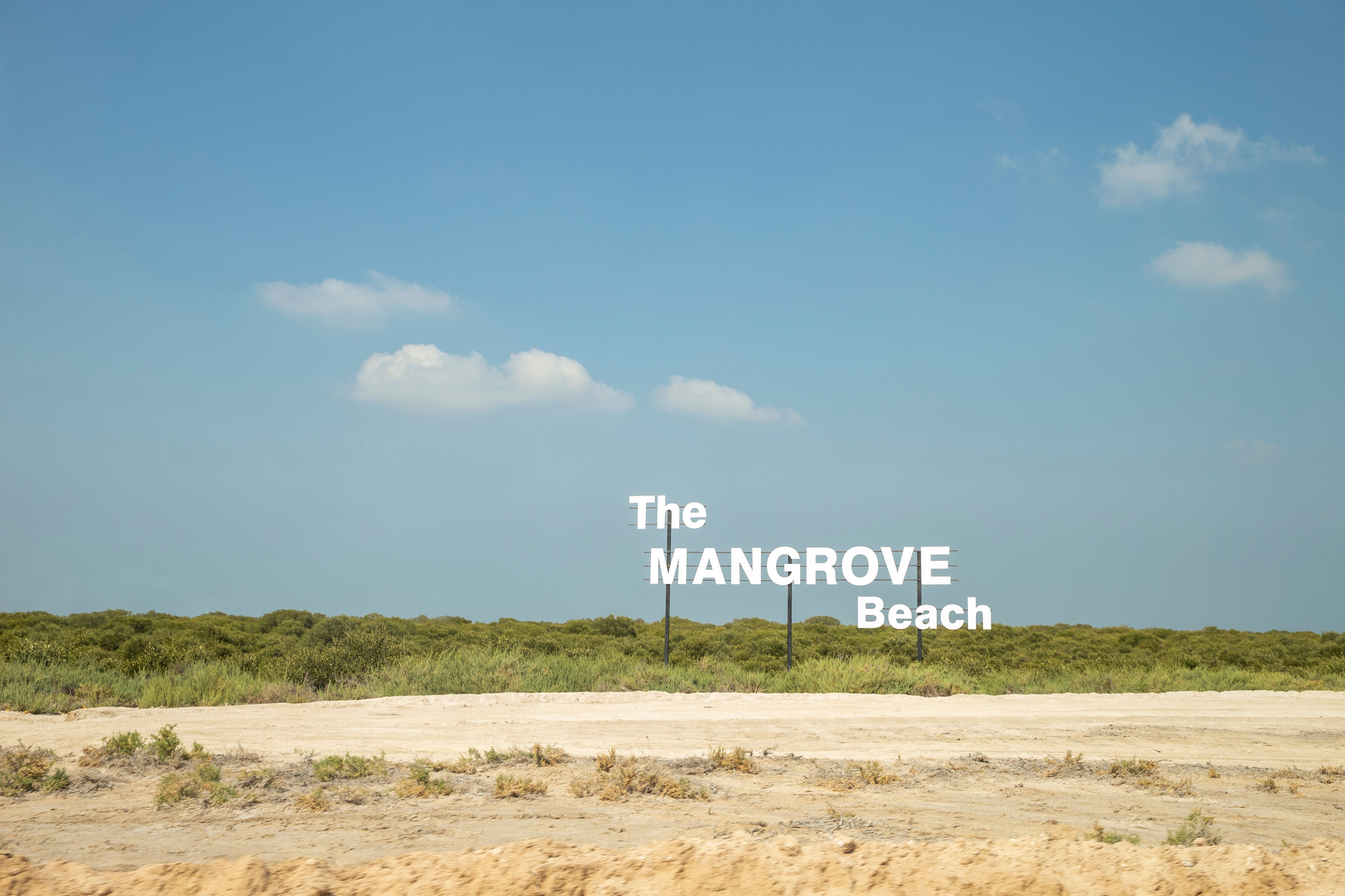 Serene view of The Mangrove Beach sign with clear skies and green backdrop.