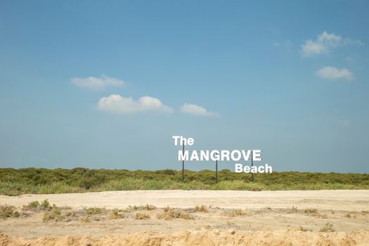 Serene view of The Mangrove Beach sign with clear skies and green backdrop.