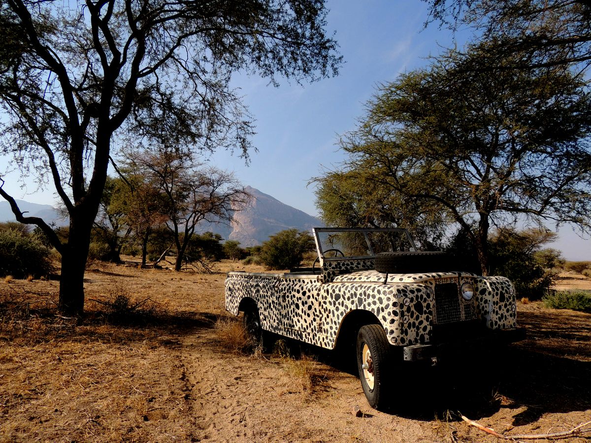 Why Kidepo Valley is Uganda's Best-Kept Secret in 2026 featured image
