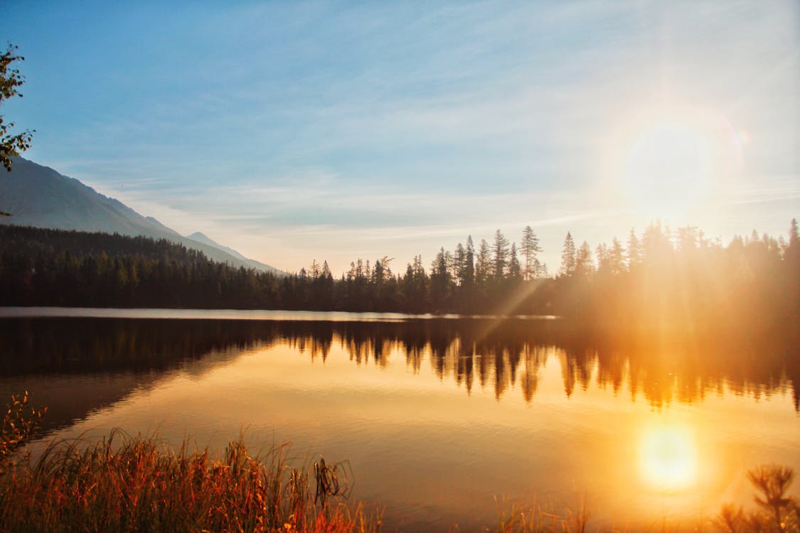 Reflection Of Sun And Trees On Water