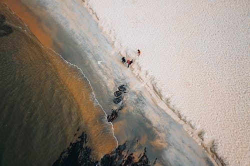 Drone Shot of People at the Beach 