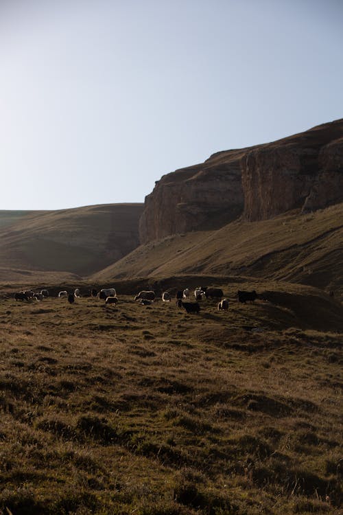 Foto profissional grátis de área de montanha, formação geológica, Highlands