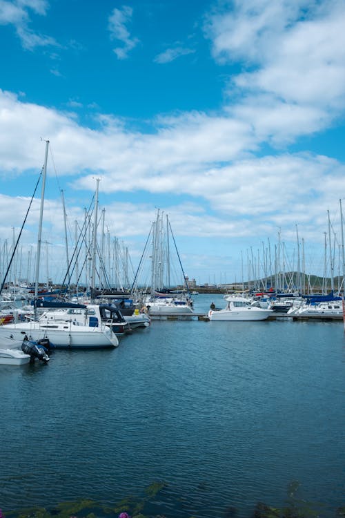 Boats in Marina