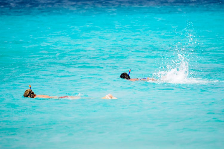 Swimmers Swimming In The Swimming Pool