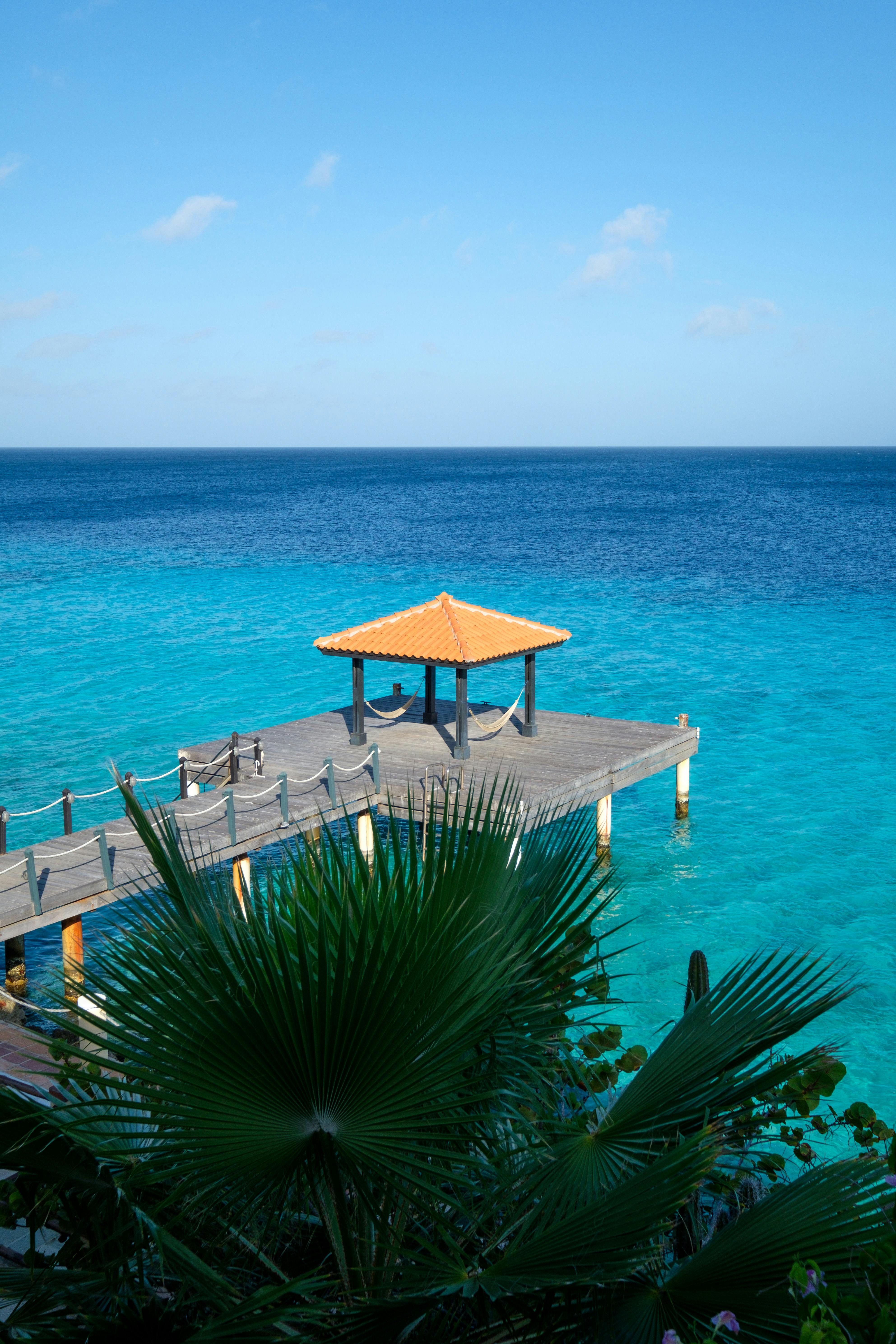 Itinerary Caribbean Netherlands,Cartagena,Manaus
