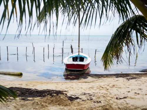 Free A serene view of a sailboat docked on a sandy beach with palm trees framing the calm ocean scene. Stock Photo