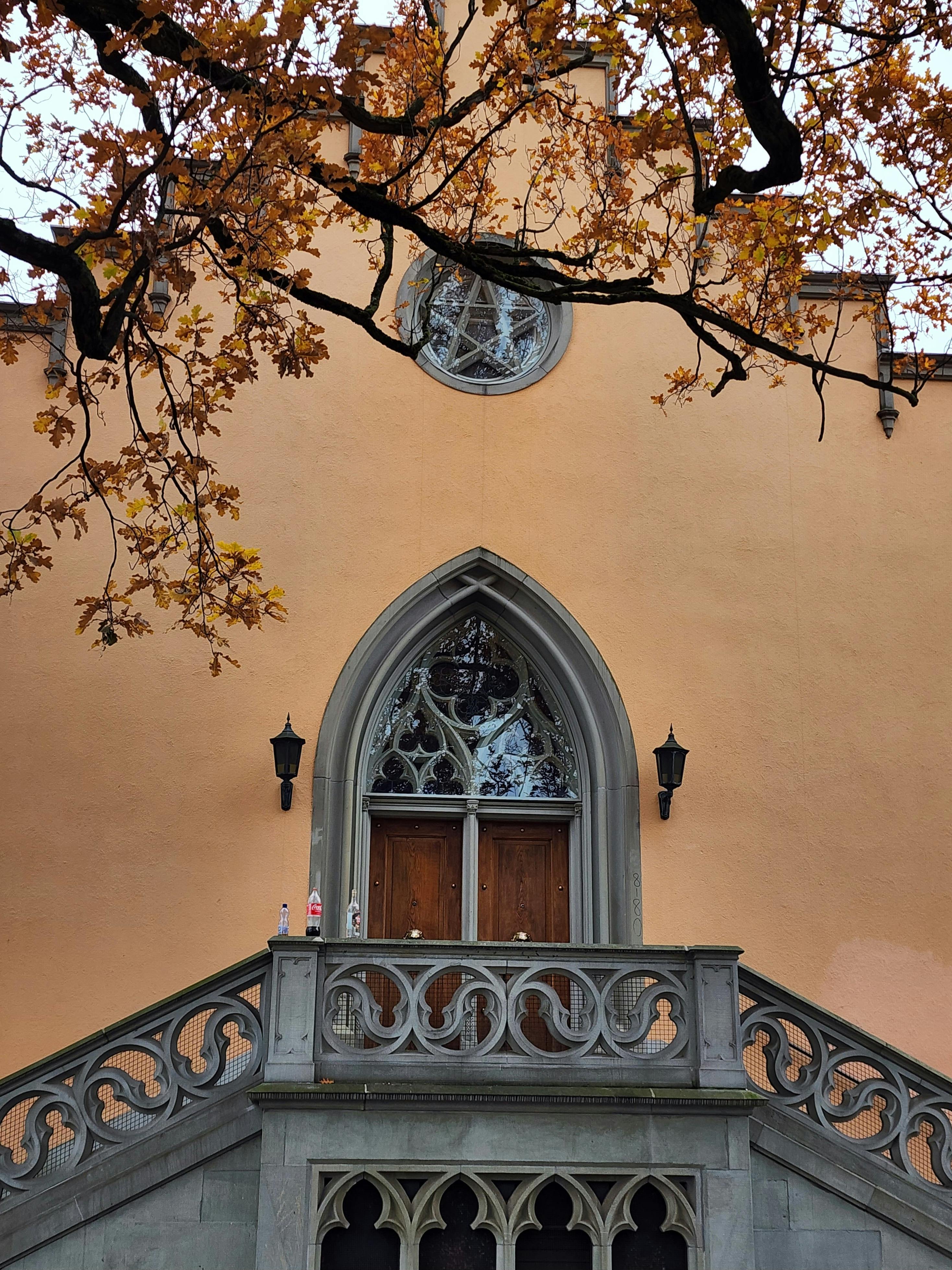 An elegant Gothic facade with autumn leaves framing the scene.
