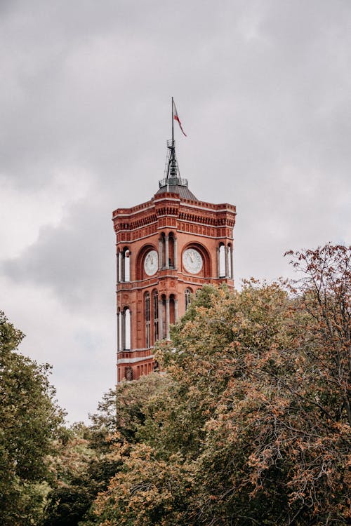 Clock Tower near Green Trees