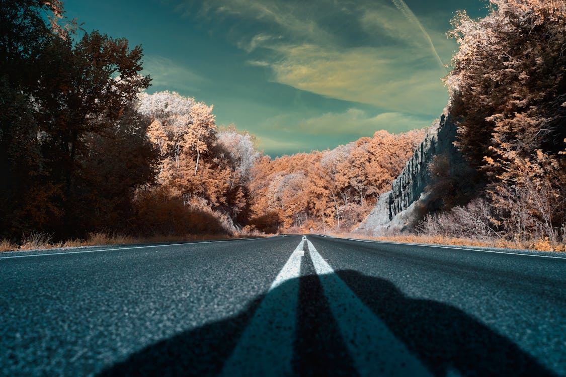 White Lines on Empty Road