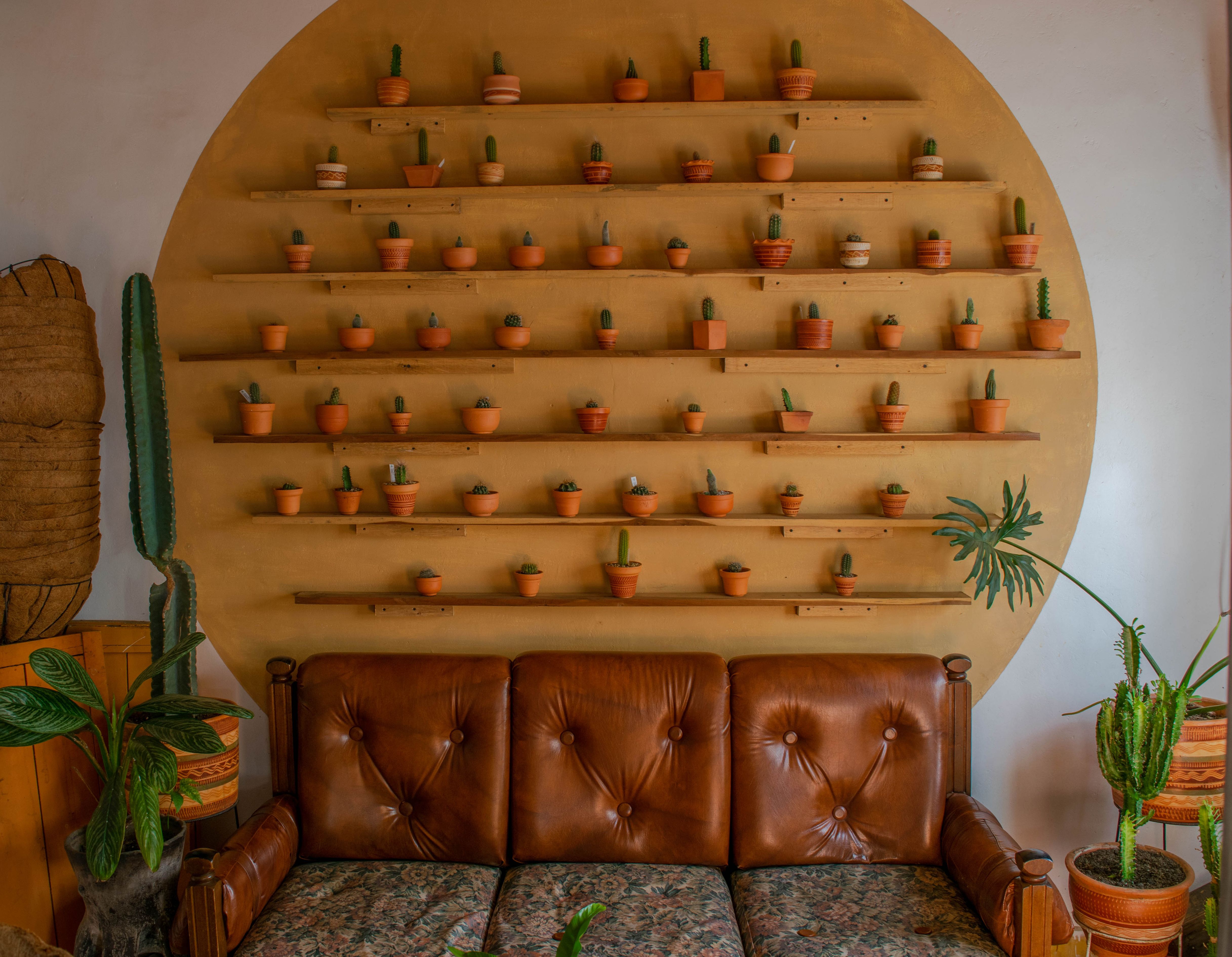 Terracotta potten op houten boekenplank.