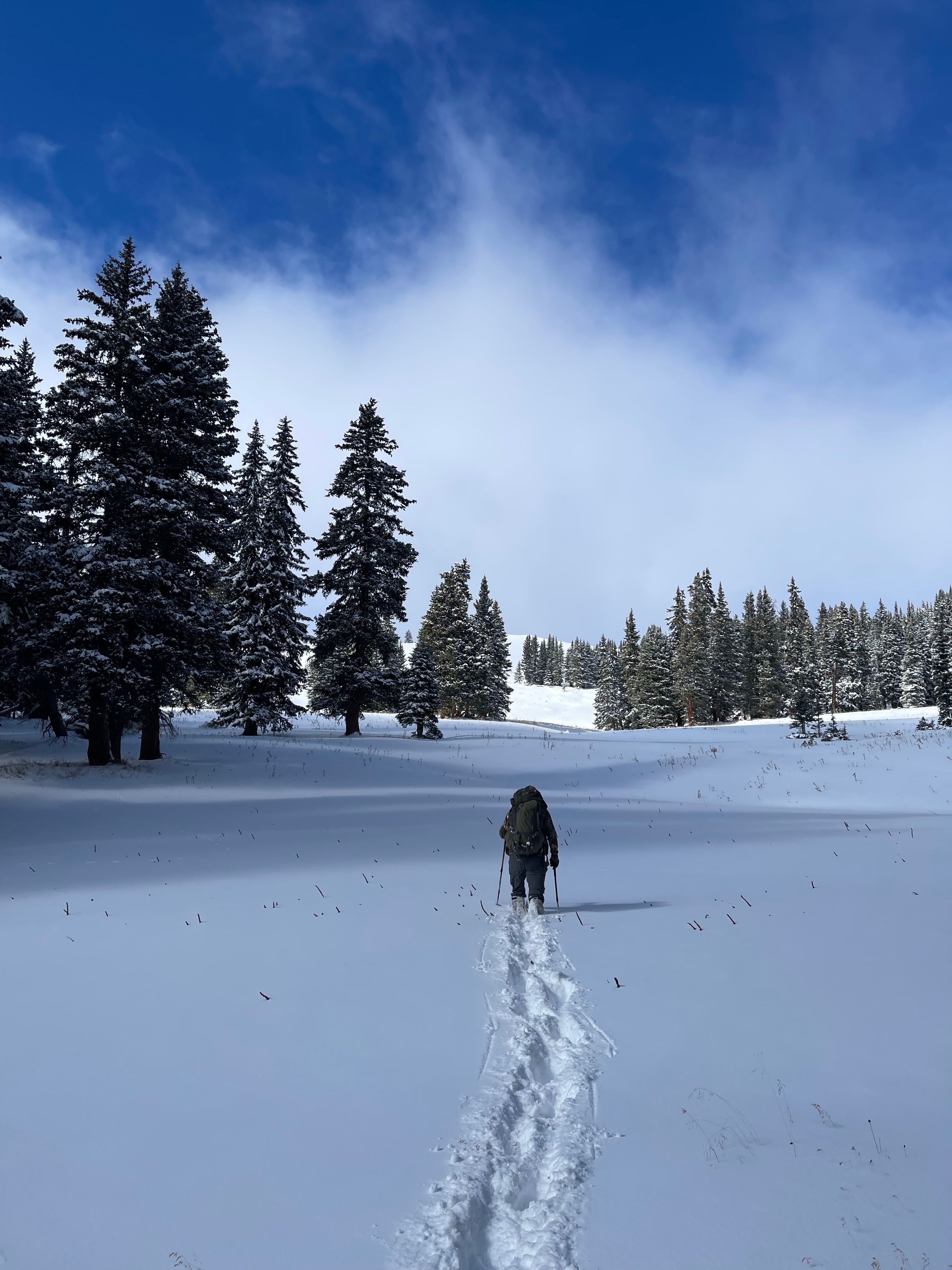Trace of Hiking Person in Winter · Free Stock Photo