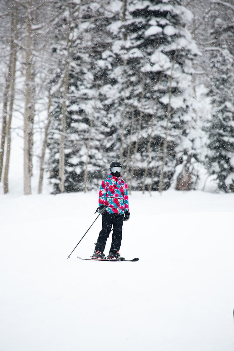 Skier On Snow