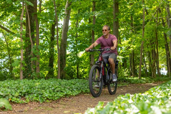 Rider on an electric bike on a forest trail