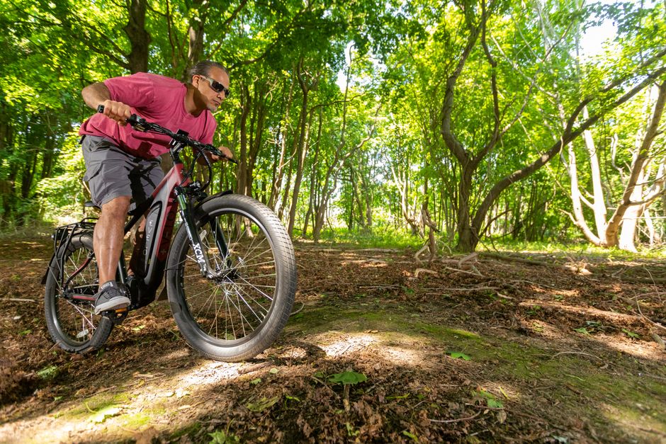 Electric Mountain Bike (e-MTB)