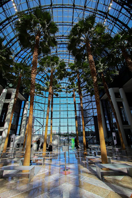 Free Landscape Photography of the Interior of the Brookfield Place Shopping Mall Stock Photo