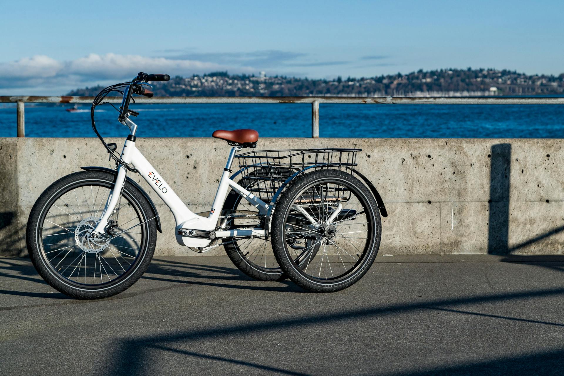 EVELO electric tricycle parked by the Seattle waterfront on a sunny day, offering a view of the cityscape and water.