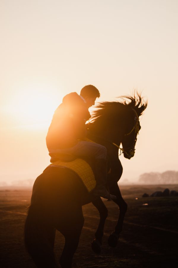 Rider on horseback — photo by Baris Karagoz on Pexels