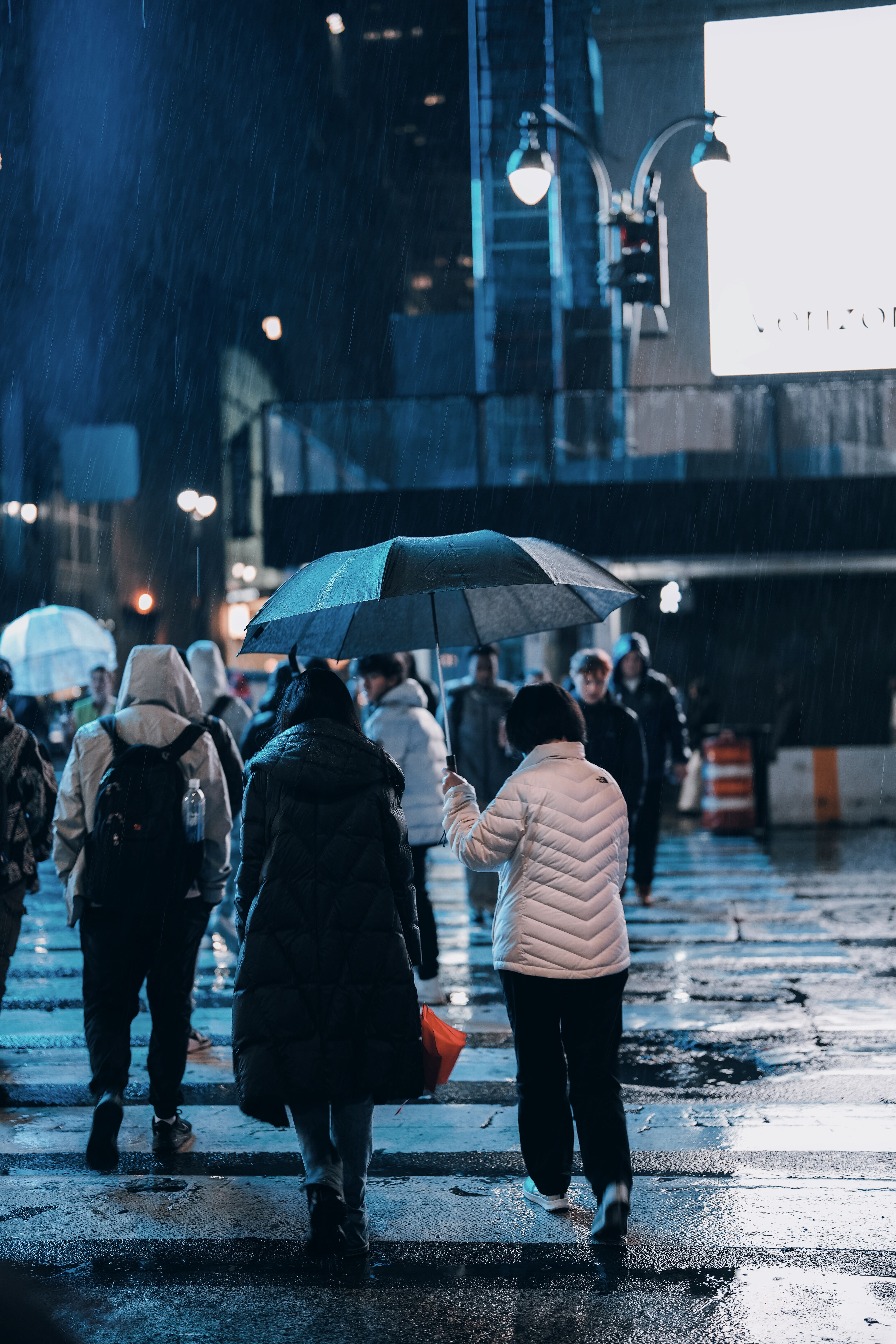 People Crossing the Street While Raining · Free Stock Photo