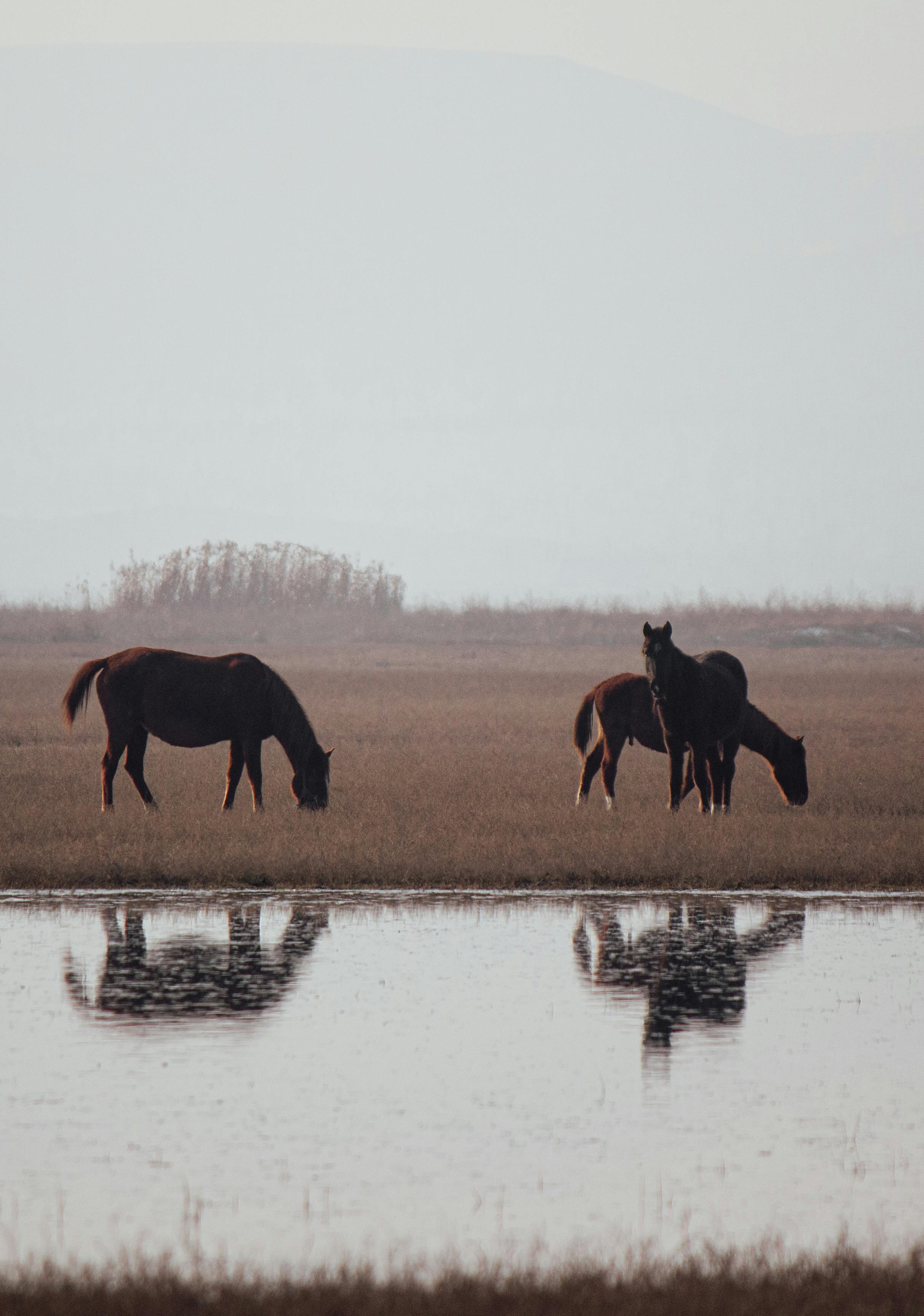 What should I add to my water to lose weight?