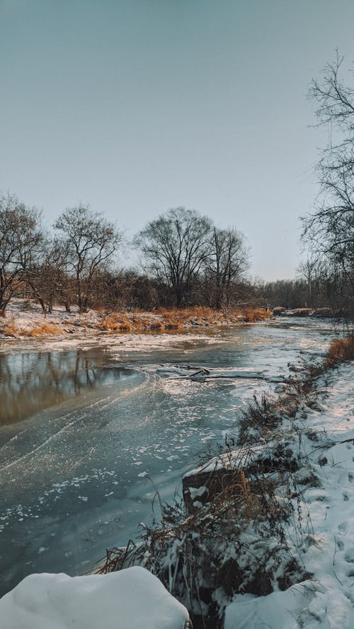 Frozen Wild River 