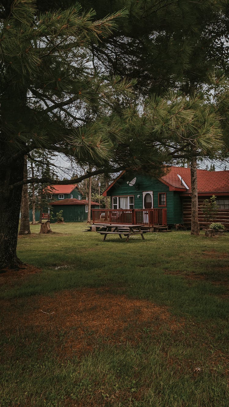 Wooden Cabins In Green Forest