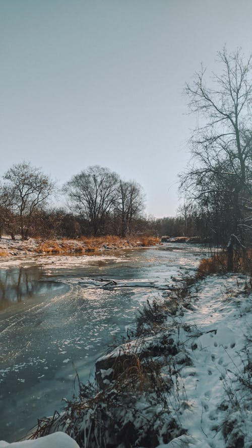 Ingyenes stockfotó áramló, erdő, folyó témában