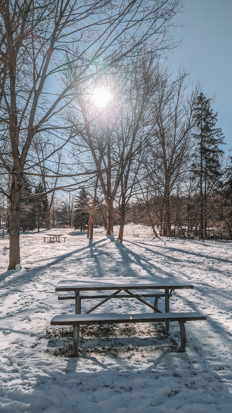 Camping Bench In Winter