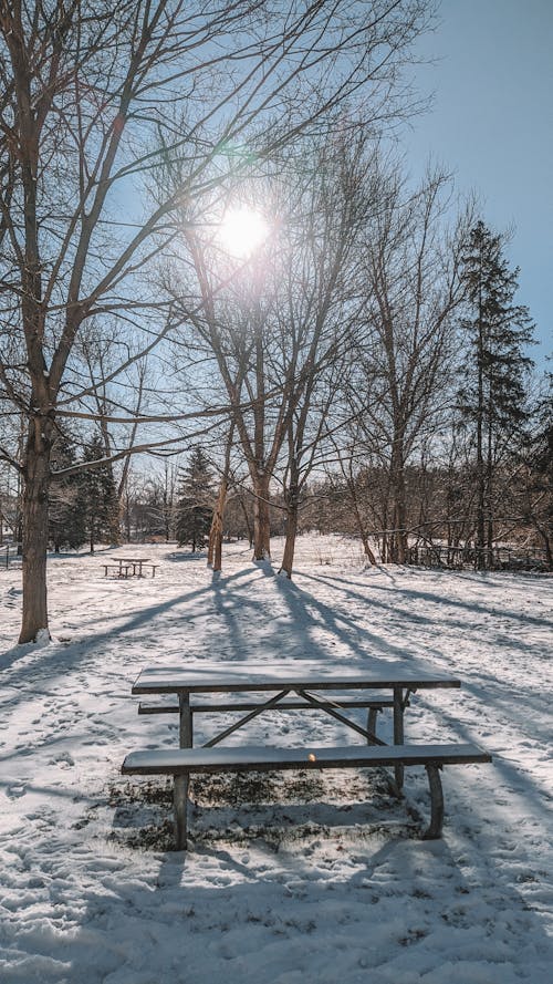 Free Camping Bench in Winter Stock Photo