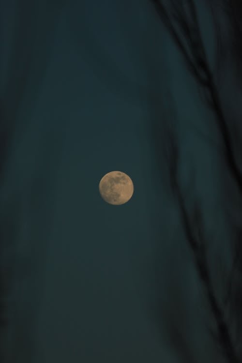Gratis Foto stok gratis bulan, bulan purnama, di luar rumah Foto Stok