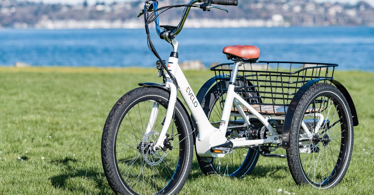 An electric tricycle parked on grass by a lake in Seattle, WA, offering leisure and eco-friendly transportation.