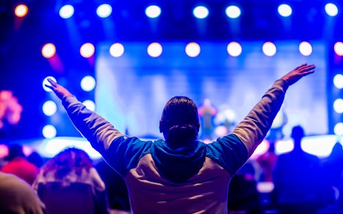 Audience on Concert