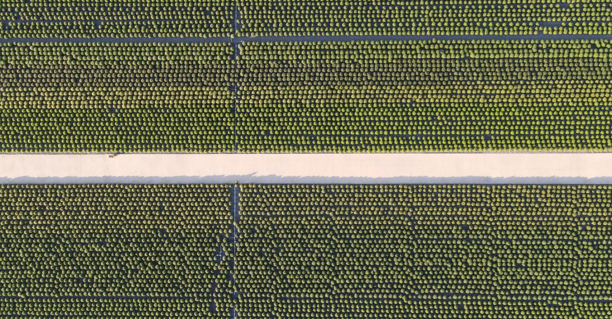 Les bienfaits de l'agriculture biologique sur l'environnement