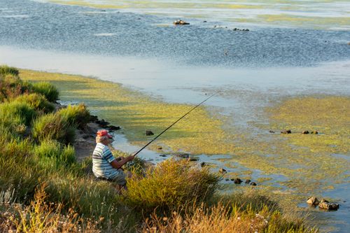 Free Solitary man fishing by a tranquil river surrounded by lush greenery. Stock Photo