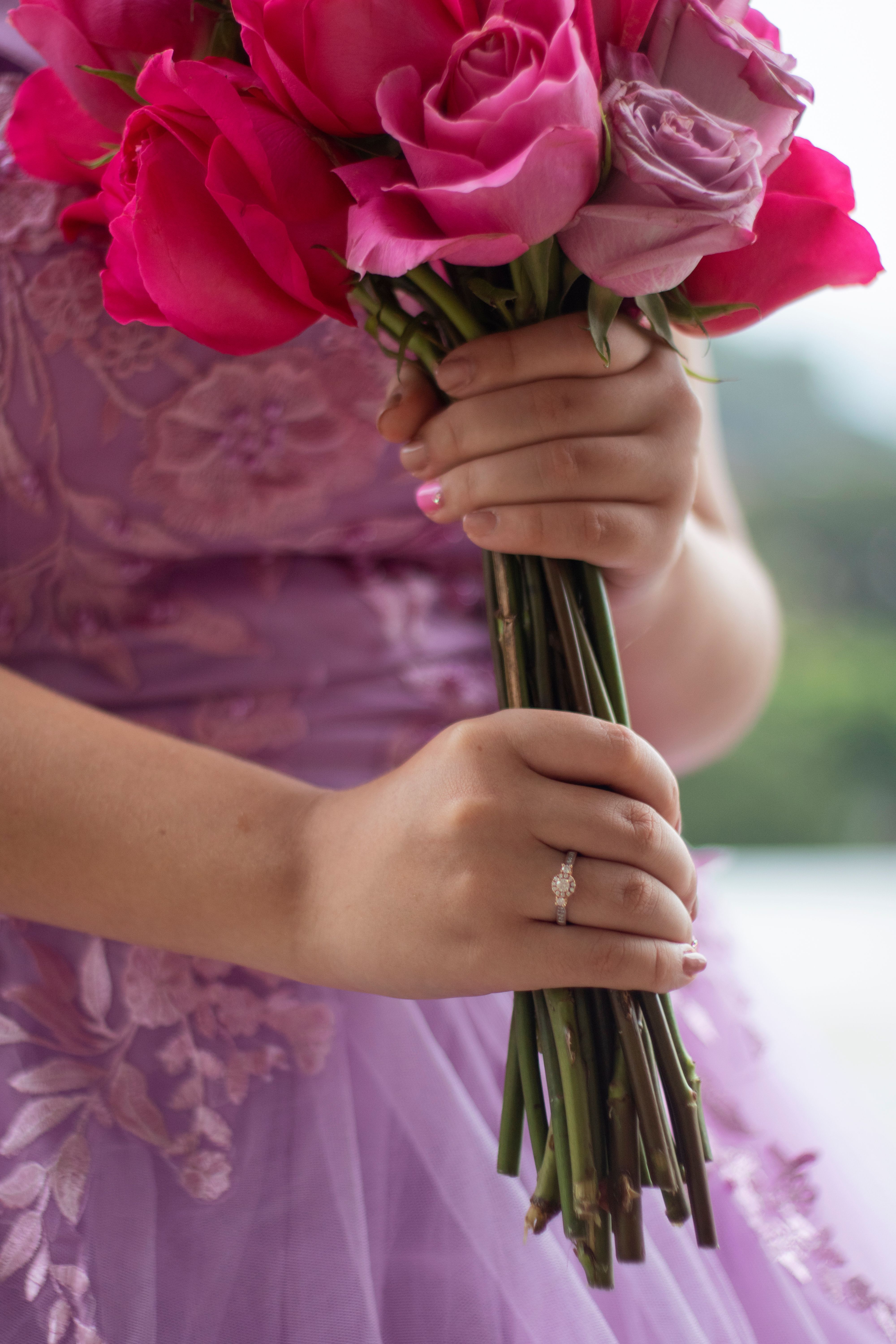 A Person Holding a Bouquet of Pink Roses · Free Stock Photo