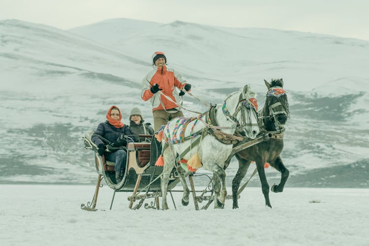 People Going On Horse Sleigh