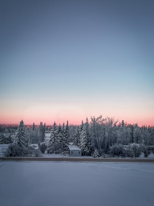 Ilmainen kuvapankkikuva tunnisteilla flunssa, hämärä, lumi