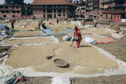 People Working in a Village 