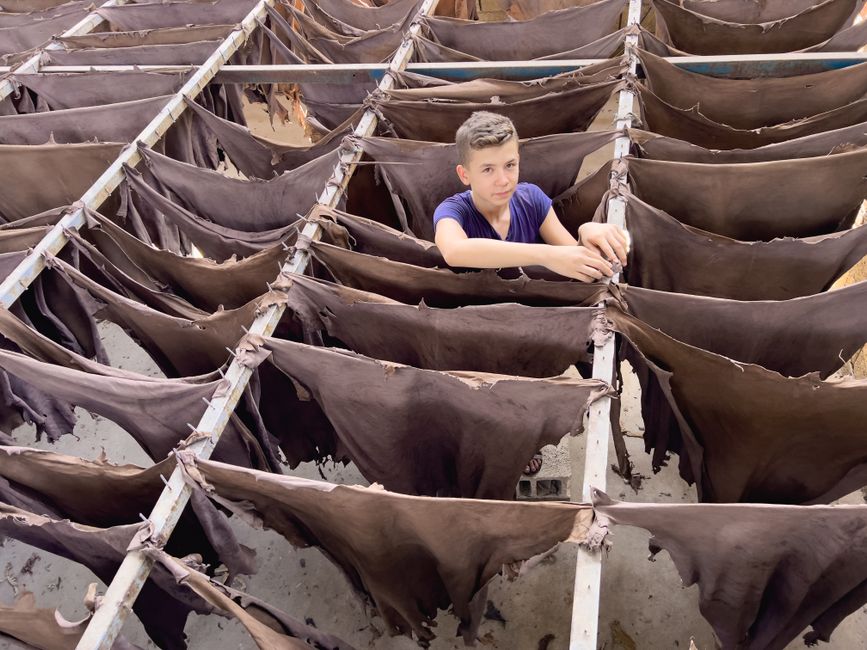 Atelier de tannage de peau arctique chez Ole à Honningsvåg