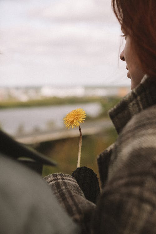 Kostnadsfri bild av gul blomma, håller, kvinna