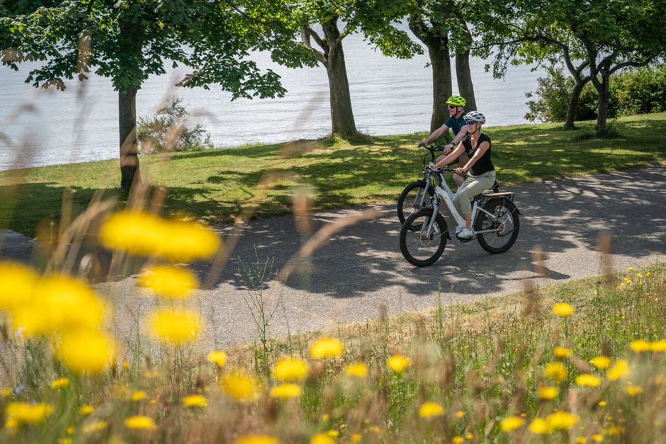 person riding a bicycle past a city park - earth friendly ideas person riding a bicycle past a city park - earth friendly ideas