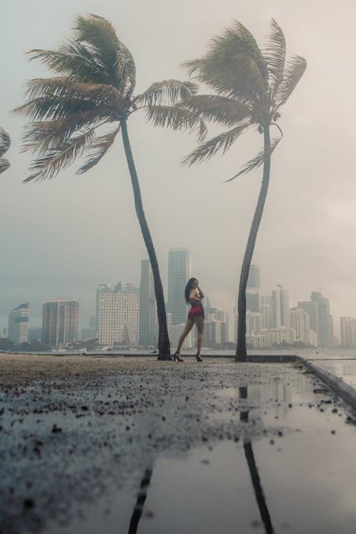 Woman Standing in between Palm Trees